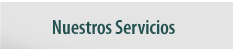 Nuestros Servicios